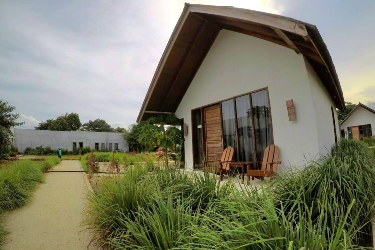 A modern house with a sloped roof, large windows, and a pathway leading to it.