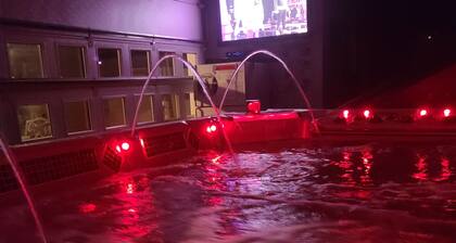 The Palace: Luxury Living the whole family will enjoy! Indoor Swim Spa Hot Tub