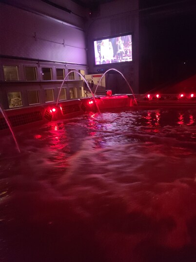 The Palace: Luxury Living the whole family will enjoy! Indoor Swim Spa Hot Tub