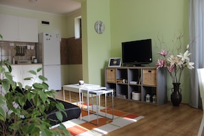 Televisor i llibres