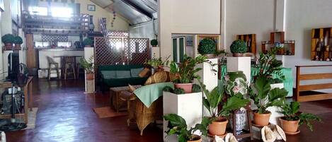 Un salón amplio con un sofá verde, mobiliario de mimbre y varias plantas en macetas.