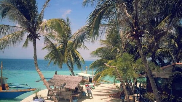Una playa con palmeras, una cabaña de techo de paja y un bote.