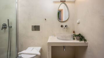 Et badeværelse med et glasbadeværelsesafskærmning, toilet, vask med spejl og en lille urtepotte.