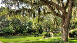 A well-maintained garden with a variety of trees, including one with Spanish moss, a lawn, and a pathway. - Access to Community Pool & 1 Block to the Beach! (Saint Simons Island)