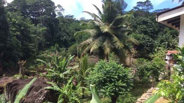 Unclassified image, 1 of 21, button - PAPAYAS SELF CATERING (Mahé Island)