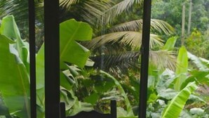Unclassified image, 4 of 21, button - PAPAYAS SELF CATERING (Mahé Island)