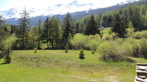 A mountainous landscape with a clear sky, a grassy field, and a row of trees.