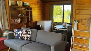 TV connectée, cheminée, lecteur de DVD, livres