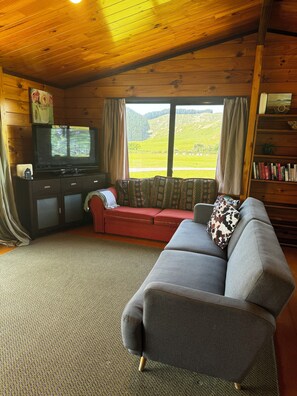 Smart TV, fireplace, DVD player, books