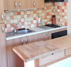 Fridge, microwave, oven, coffee/tea maker