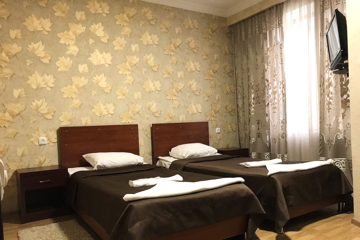 Standard Twin Room | Living area | Flat-screen TV