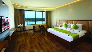 Habitación de hotel con una cama grande, televisión, escritorio y vistas al exterior.