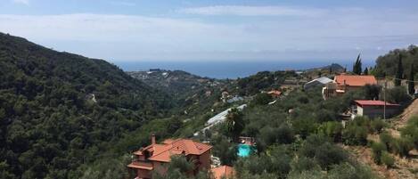 A hillside property with multiple buildings, including a house with a red roof and a pool, surrounded by dense greenery and overlooking a coastal area.