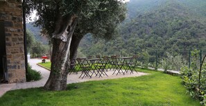 Terrace/patio - Agriturismo Aurivu (Vallebona)