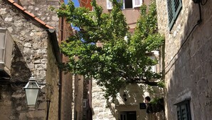 Exterior - Apartments Leila (Dubrovnik)