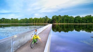 Iemand fietst op een betonnen pad langs een kalm meer, omringd door weelderige groene bomen.