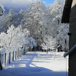Boendeområde