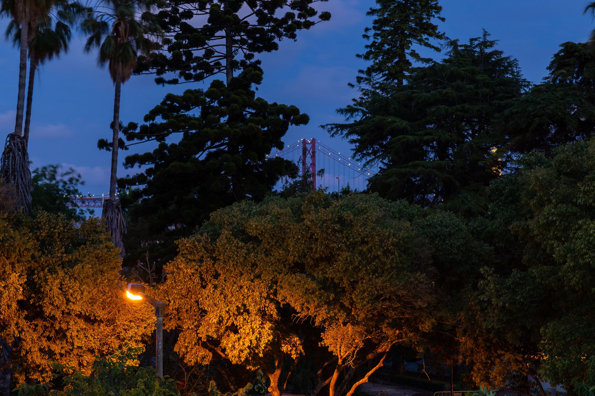 Foto - Geronimo Guest House Belém