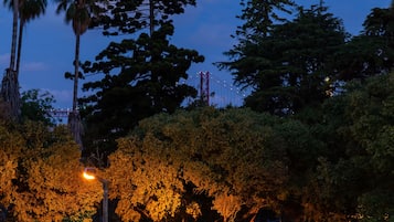 Vista nocturna de un puente rodeado de árboles y un farol.