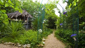 Un sendero en un jardín con una estructura de techo de paja, rodeado de abundante vegetación y plantas.