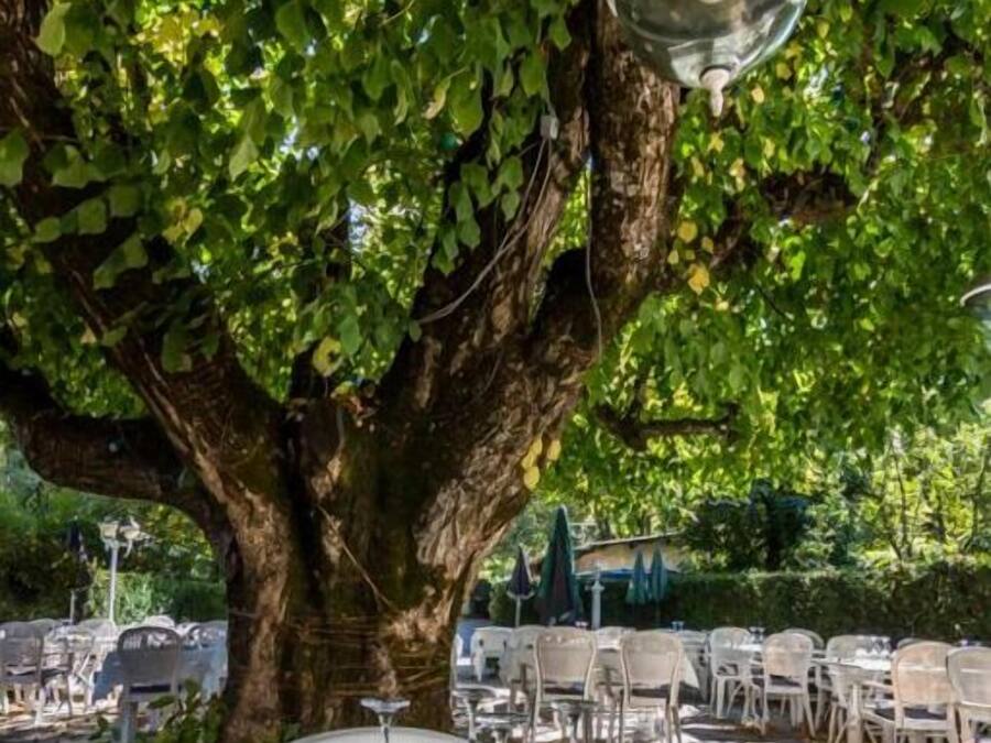 Se sirven almuerzos y cenas, cocina francesa