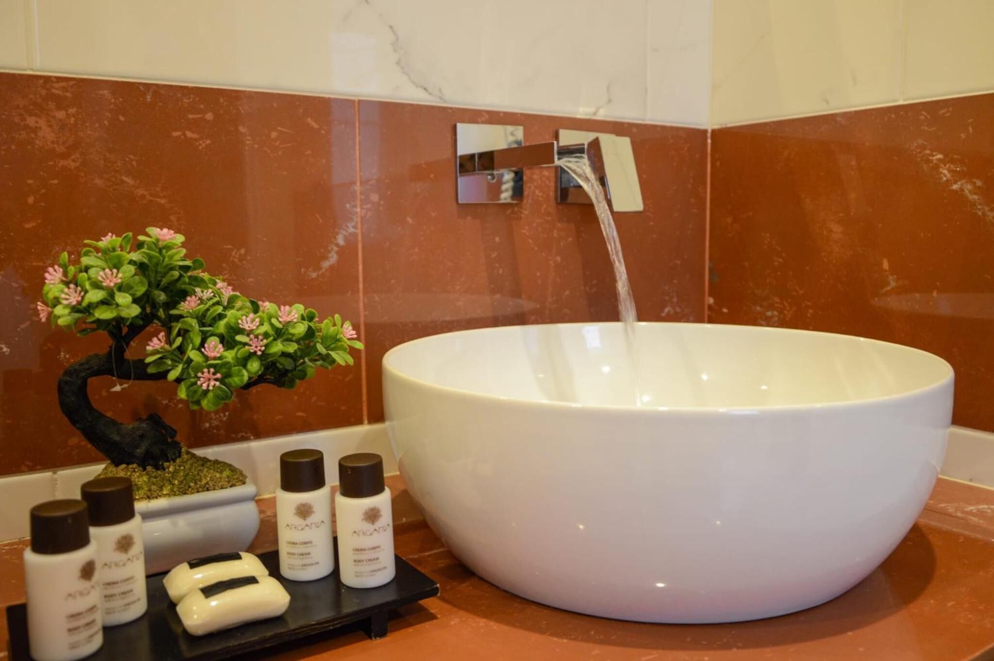 A bathroom with a large white basin, a small bonsai tree, and several bottles of lotion.