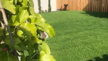 DĂ©tail de lâextĂ©rieur