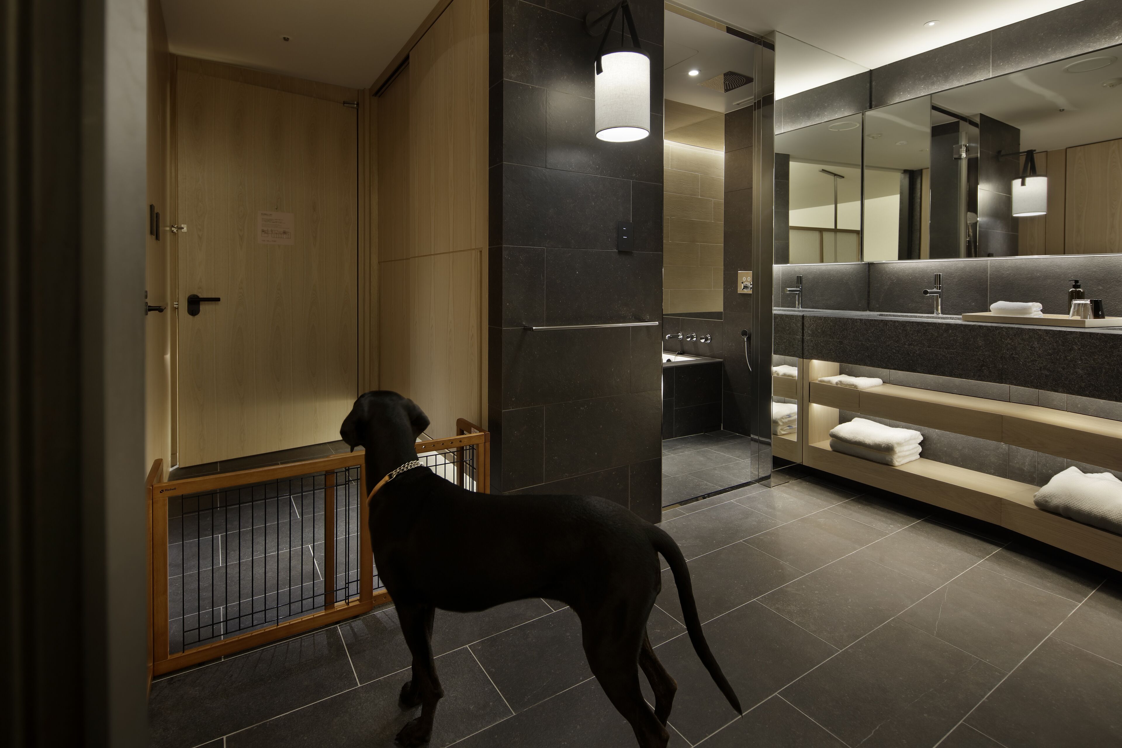 separate bathtub and shower, rainfall showerhead, free toiletries