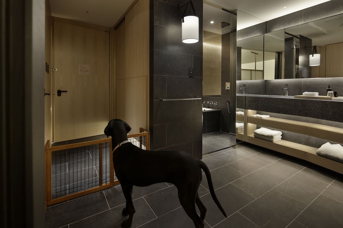 separate bathtub and shower, rainfall showerhead, free toiletries