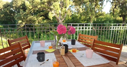 Soothing 4-person apartment in the heart of Erbalunga