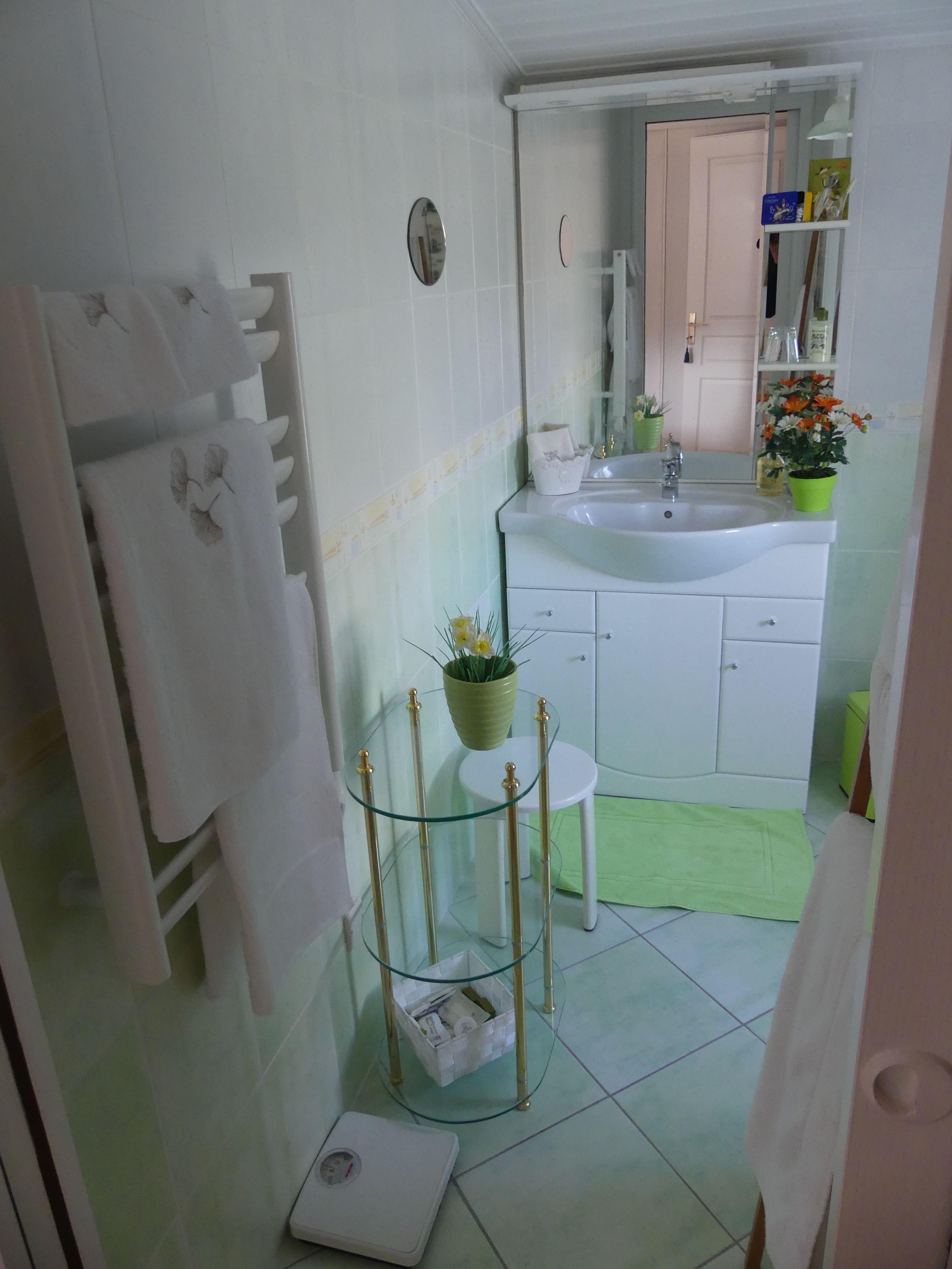 A bathroom with a white sink, mirror, and white cabinets. There is a glass table with a potted plant and a scale on the floor.