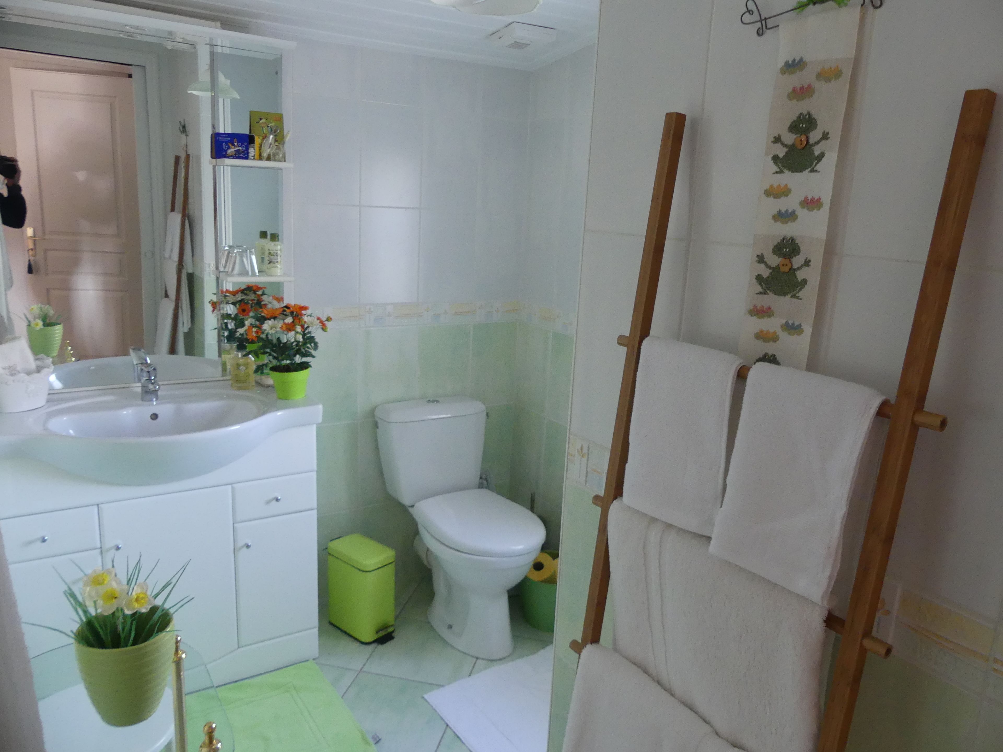Ein Badezimmer mit einem weißen Waschbecken, einer Toilette und einer grünen Mülleimer. Über dem Waschbecken befindet sich ein Spiegel und an der Wand ein Handtuchhalter.