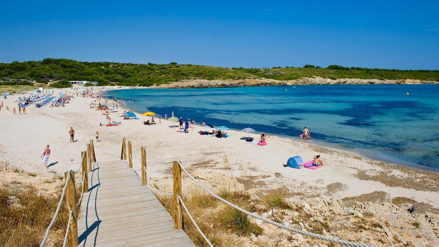 Apartamentos Posidonia