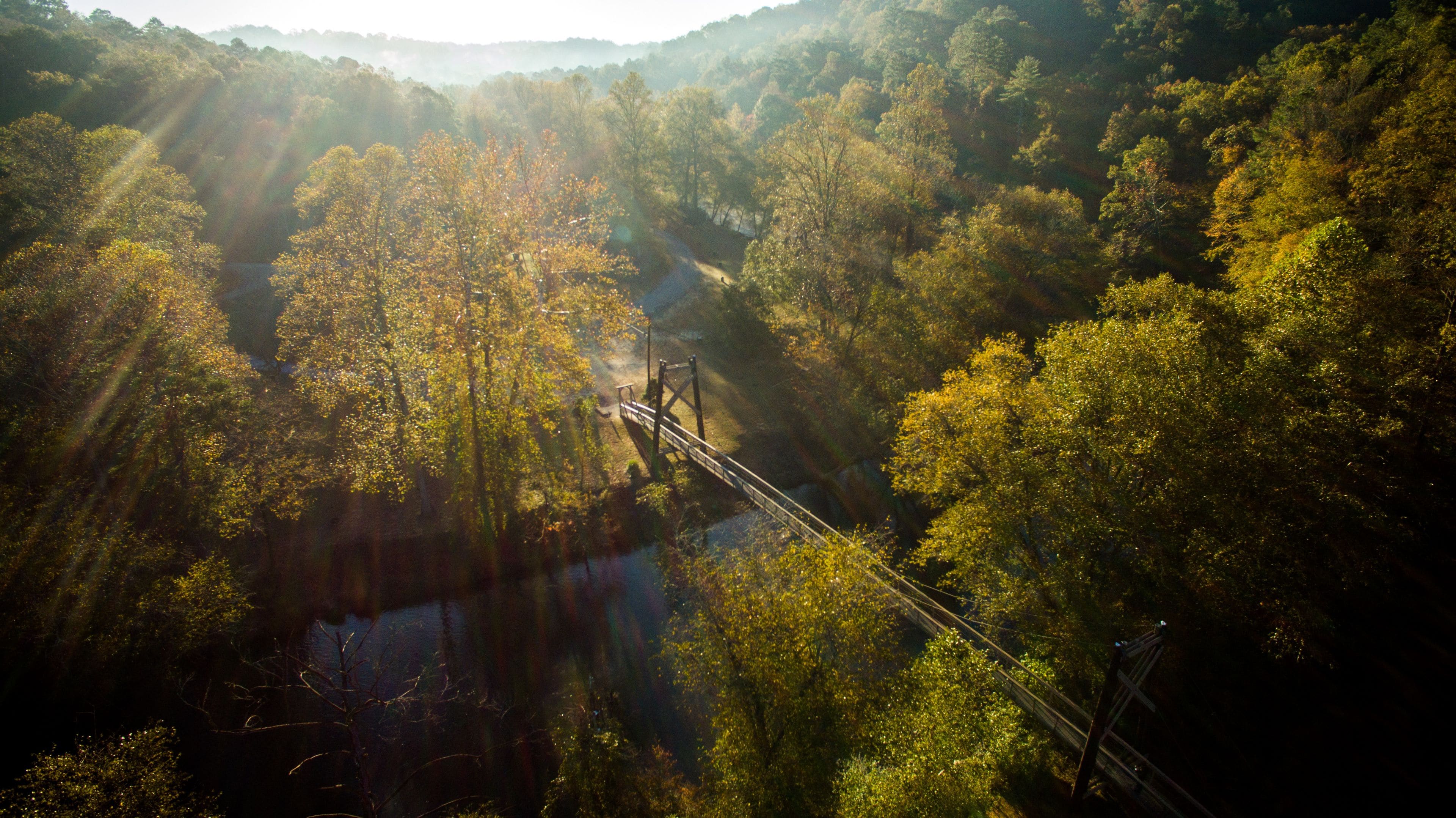 A suspension bridge in a forested valley with sunlight filtering through the trees.