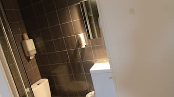 Une salle de bain avec des toilettes, une douche et un lavabo.