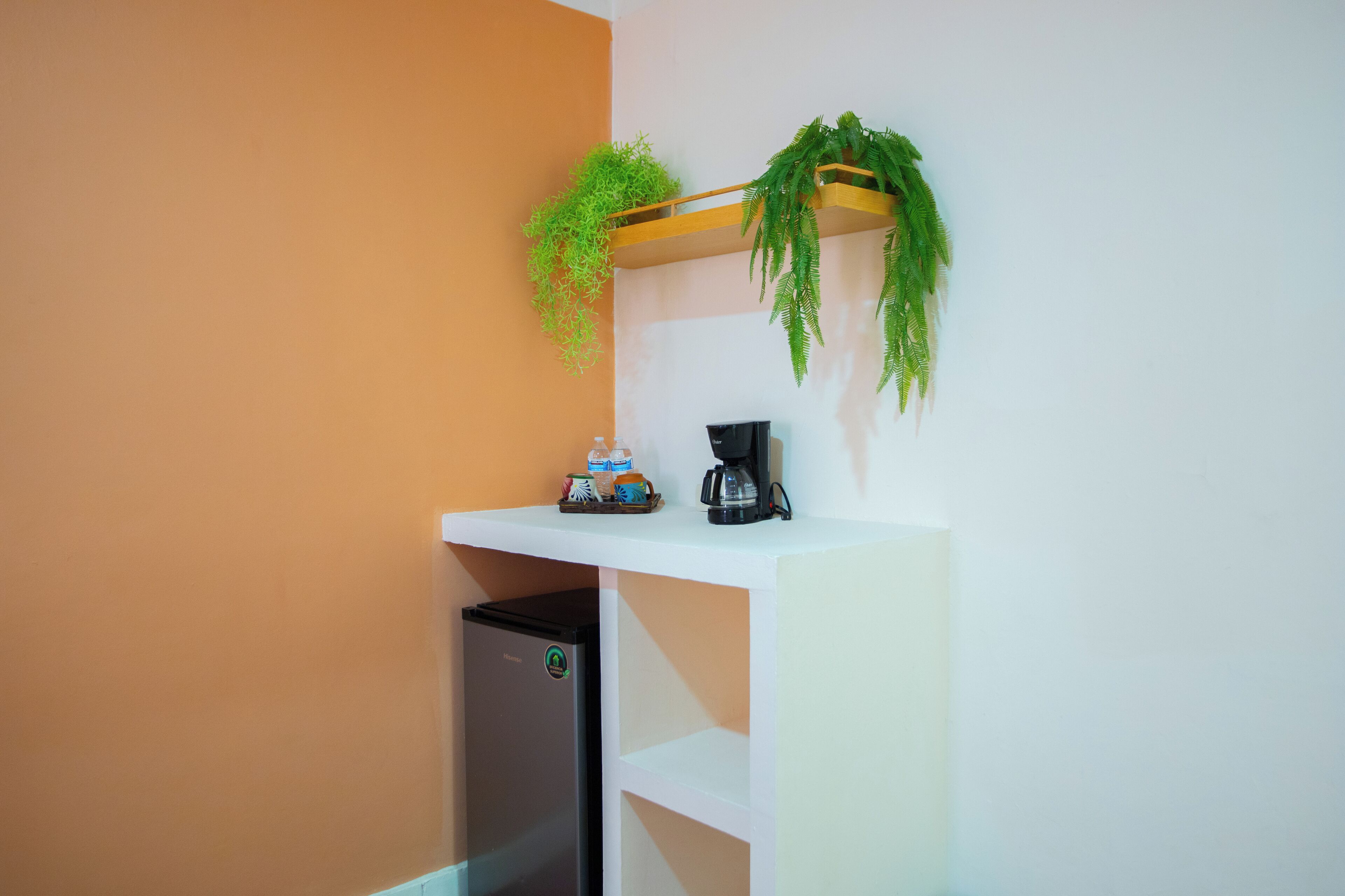 Photo - Hotel Tropicus Boutique