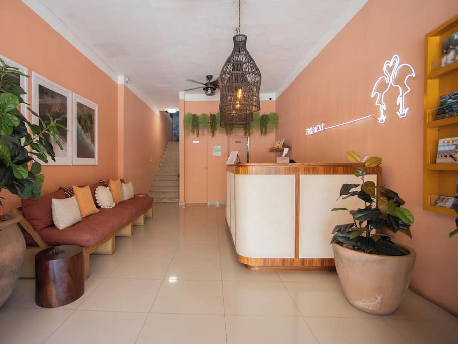 A reception area with a reception desk, a sofa, and potted plants.