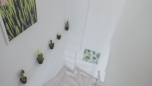 A staircase with a handrail, a wall with a cactus plant, and a framed picture. - La Casa delle Stagioni (L'Aquila)