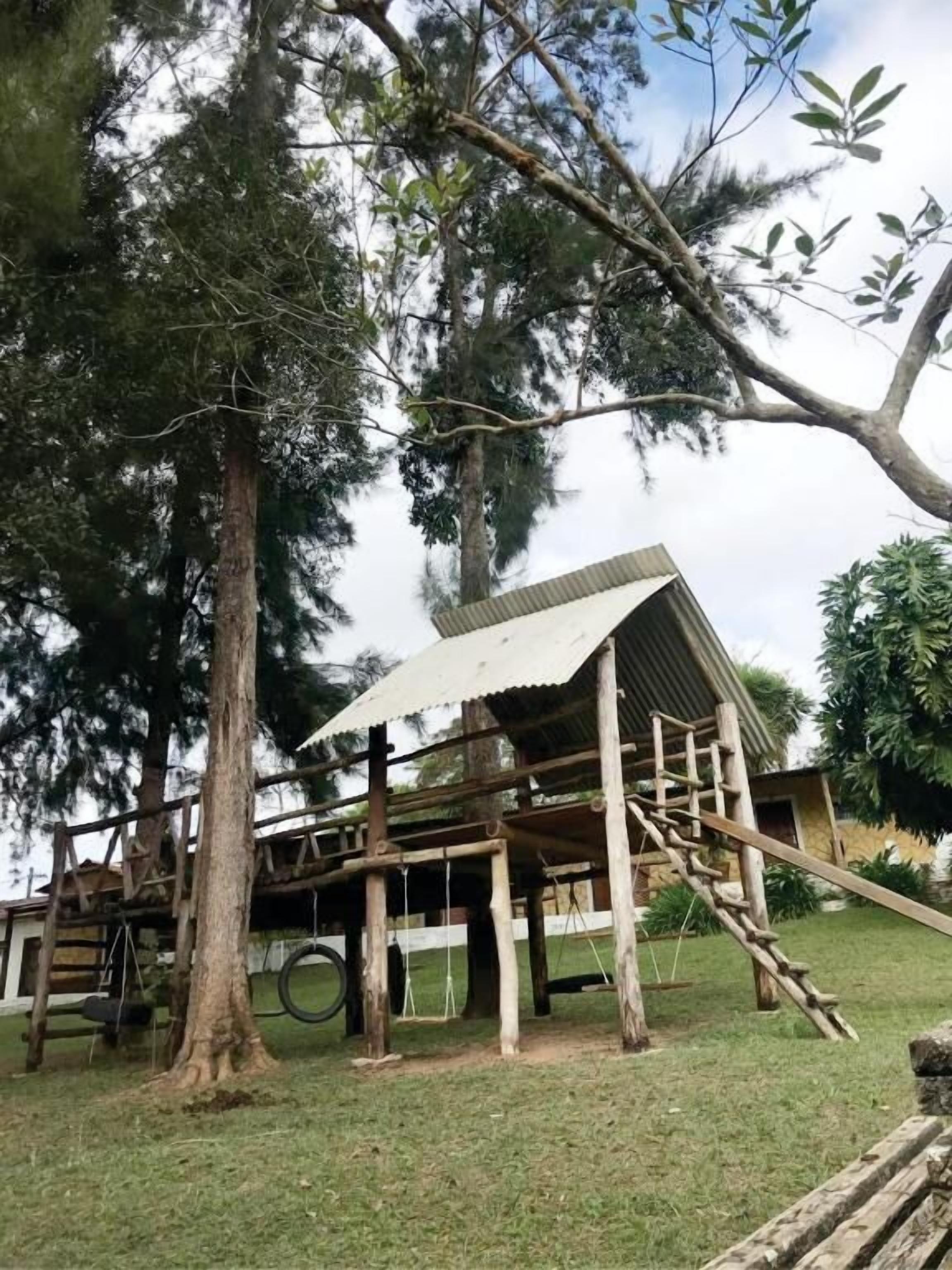 A rustic wooden structure with a corrugated metal roof, surrounded by trees and grass.