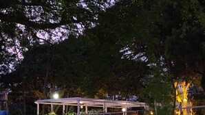 A covered outdoor area with a glass roof, surrounded by trees and a small garden. - Kimberly By Jade (Kunigal)