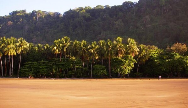Beach - Costa Paraiso (Bahía Ballena)