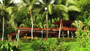 Unclassified image, 2 of 19, button - Costa Paraiso (Bahía Ballena)