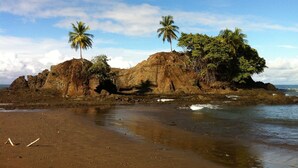 Unclassified image, 3 of 19, button - Costa Paraiso (Bahía Ballena)
