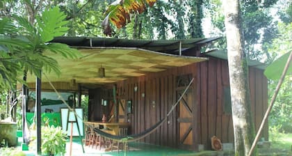 Finca Guarumo - Hostel