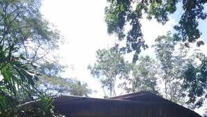 A small, single-story building with a sloped roof, surrounded by dense foliage and trees. - Finca Guarumo - Hostel (Las Horquetas)