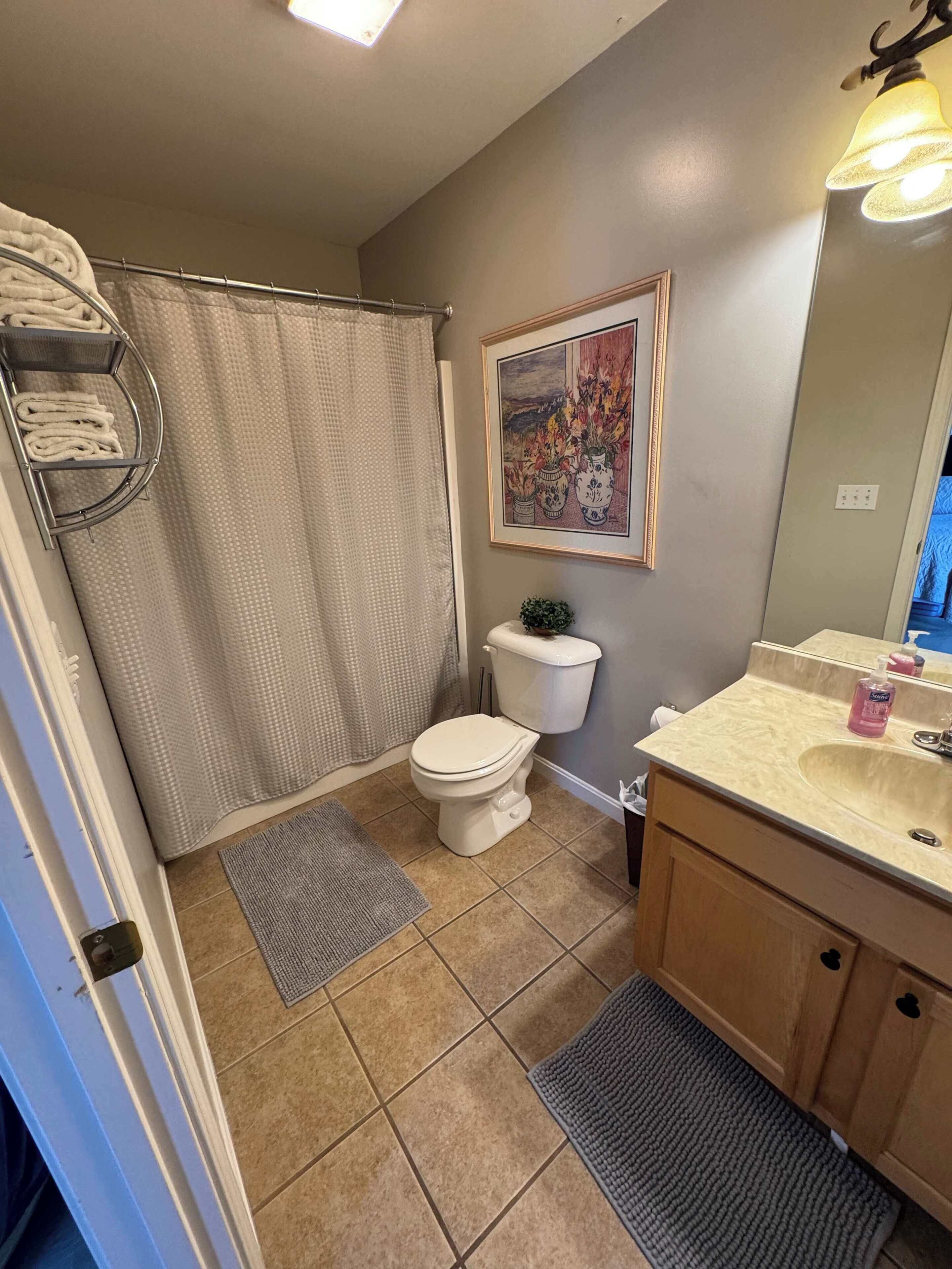 A bathroom with a toilet, sink, shower curtain, and a framed picture on the wall.