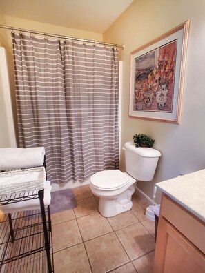 Bathtub, hair dryer, towels, toilet paper