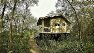 Cabin truyền thống | Bộ trải giường