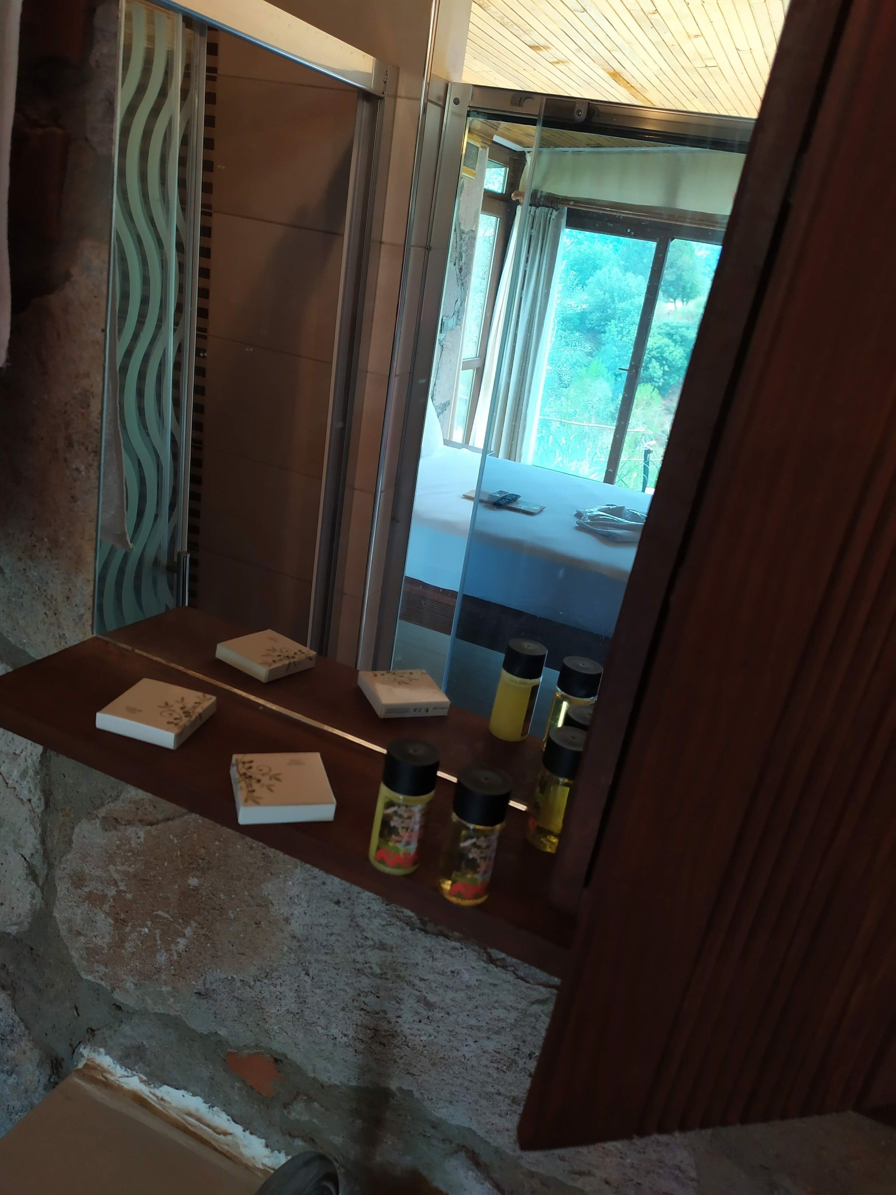 deluxe double room | bathroom amenities | shower, rainfall showerhead, free toiletries, hair dryer