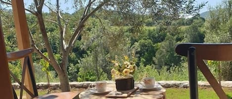Vista desde la habitación